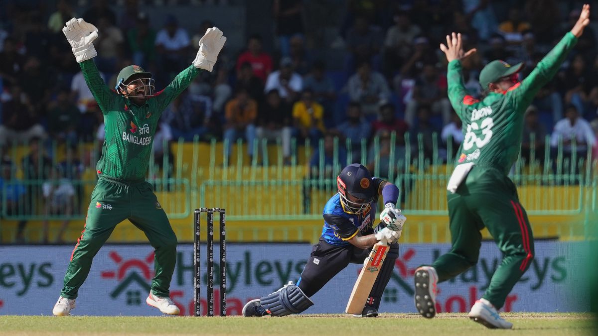 What is lbw in cricket and how does it work?