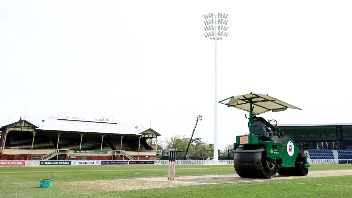 What is a drop-in cricket pitch?